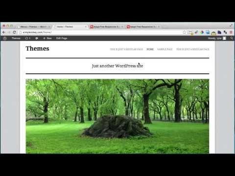 8 things you need to know about WordPress themes